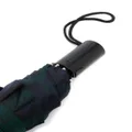 Mackintosh AYR Gordon automatic telescopic umbrella - Green