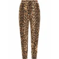 Dolce & Gabbana leopard-print track pants - Brown