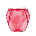 Dolce & Gabbana lace high-waisted briefs - Red