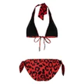 Dolce & Gabbana leopard-print bikini set - Red