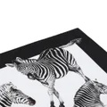 Dolce & Gabbana zebra-print napkin set - White
