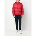 Tommy Hilfiger zip-up padded jacket - Red