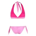 ETRO Paisley Pegaso Bikini - Pink