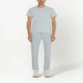 Alexander McQueen short-sleeve crew neck T-shirt - Blue