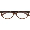 Stella McCartney Eyewear pantos-frame transparent-design sunglasses - Brown