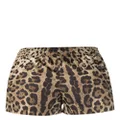 Dolce & Gabbana leopard-print mini shorts - Black