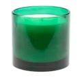 Paul Smith Botanist scented candle (240g) - Green