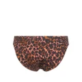 Marlies Dekkers Jungle diva bikini bottoms - Brown