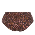 Marlies Dekkers Jungle diva bikini bottoms - Brown