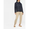 Tommy Hilfiger zipped hooded padded jacket - Blue