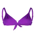Melissa Odabash Palm Beach bikini top - Purple