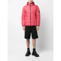 Stone Island logo-patch hooded down jacket - Pink