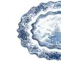Seletti x Diesel Living Willow Wave plate (21cm) - Blue