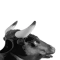 Bordallo Pinheiro 'Jarros' bull pitcher - Black
