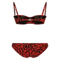 Dolce & Gabbana leopard-print bikini set - Red