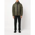 Stone Island Compass-patch padded jacket - Green