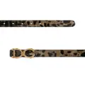 Dolce & Gabbana DG-buckle leopard-print belt - Brown