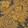 ETRO paisley-print frayed scarf - Yellow