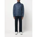 Patagonia logo-patch feather-down jacket - Blue