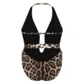Dolce & Gabbana leopard-print logo-lettering swimsuit - Brown