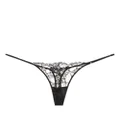 Kiki de Montparnasse sheer lace-detail cotton thong - Black
