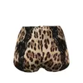 Dolce & Gabbana leopard-print high-waist briefs - Black