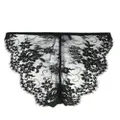 Dolce & Gabbana floral-lace panelled briefs - Black