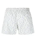 Canali shark-print swim shorts - Neutrals