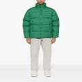 Carhartt WIP Springfield padded jacket - Green