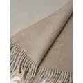 Brunello Cucinelli cashmere throw (200cm x 150cm) - Neutrals