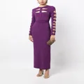 Elie Saab cut-out knit dress - Purple