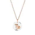 Dodo sterling silver and 9kt rose gold Capricorn charm