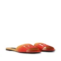 Dolce & Gabbana DG-appliqué ombré slippers - Orange