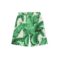 Dolce & Gabbana Kids banana leaf-print cotton shorts - Green