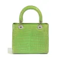 Christian Dior Pre-Owned Lady Dior two-way handbag - Green