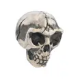 Yohji Yamamoto skull earring - Silver