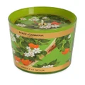 Dolce & Gabbana Sicilian Orange floral-print candle (250g) - Green