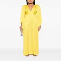 Maria Lucia Hohan Harlow silk maxi dress - Yellow