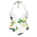 Roberto Cavalli lemon-print one-piece swimsuit - Neutrals