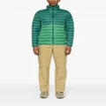 Patagonia Down Sweater feather-down jacket - Green