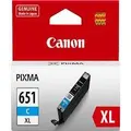 Canon Cyan Extra large Cartridge
