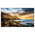 Samsung QE55T 55" 4K UHD 16/7 300 Nits Professional Commercial Display