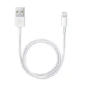Apple Lightning to USB-Cable 0.5 m