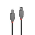 Lindy 1m USB2 A-B Cable Anthra Line