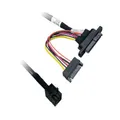 100CM MiniSAS HD SFF-8643 to U.2 Plug SFF-8639 + SATA Cable
