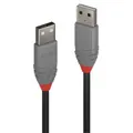 Lindy Anthra Line .5m USB2 A to Type A Cable