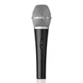 Beyerdynamic TGV35DS Supercardioid Vocal Microphone