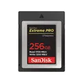 SanDisk Memory Card 256GB CFexpress