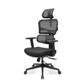 Eureka OC12 Pro Ergonomic Home/Office Chair - Black