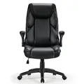 Eureka OC11 Ergonomic Office Chair Black